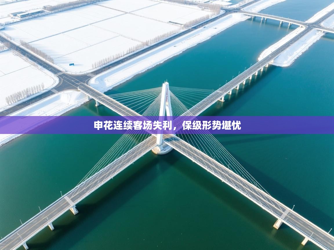 申花连续客场失利，保级形势堪忧